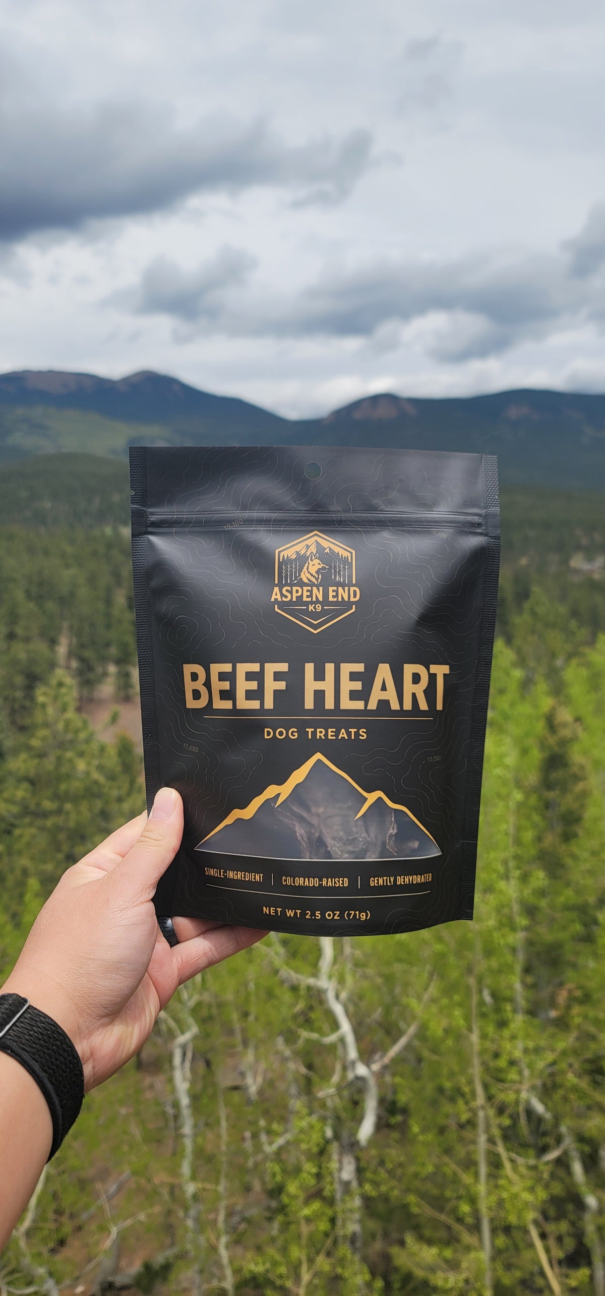 Beef Heart