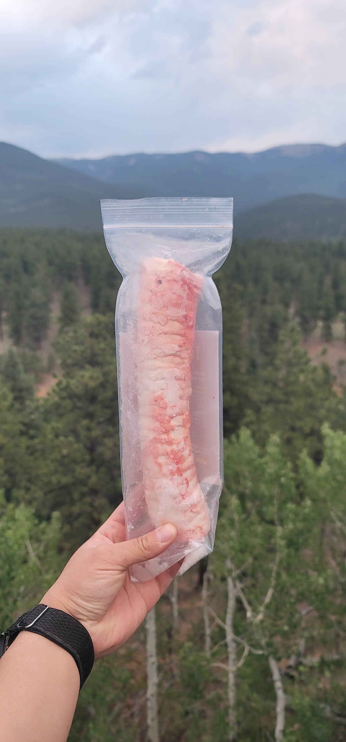 Beef Trachea Whole - Frozen