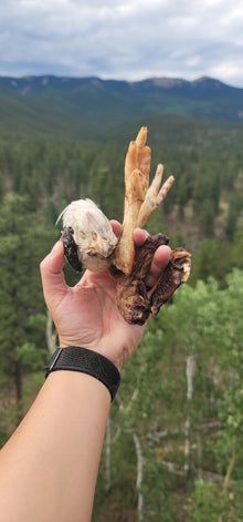 Party Fowl