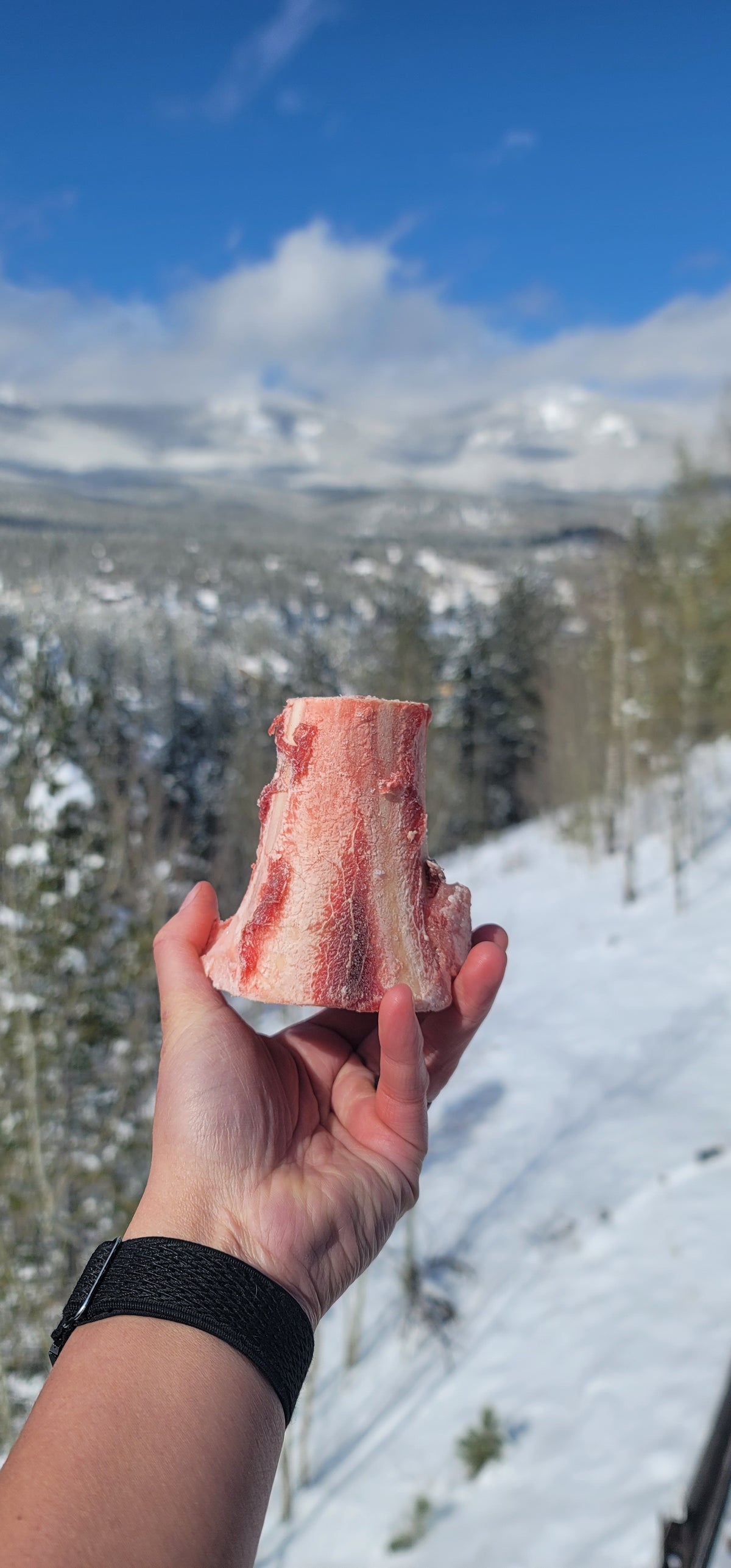 Beef Bones - Marrow 3" (Frozen)